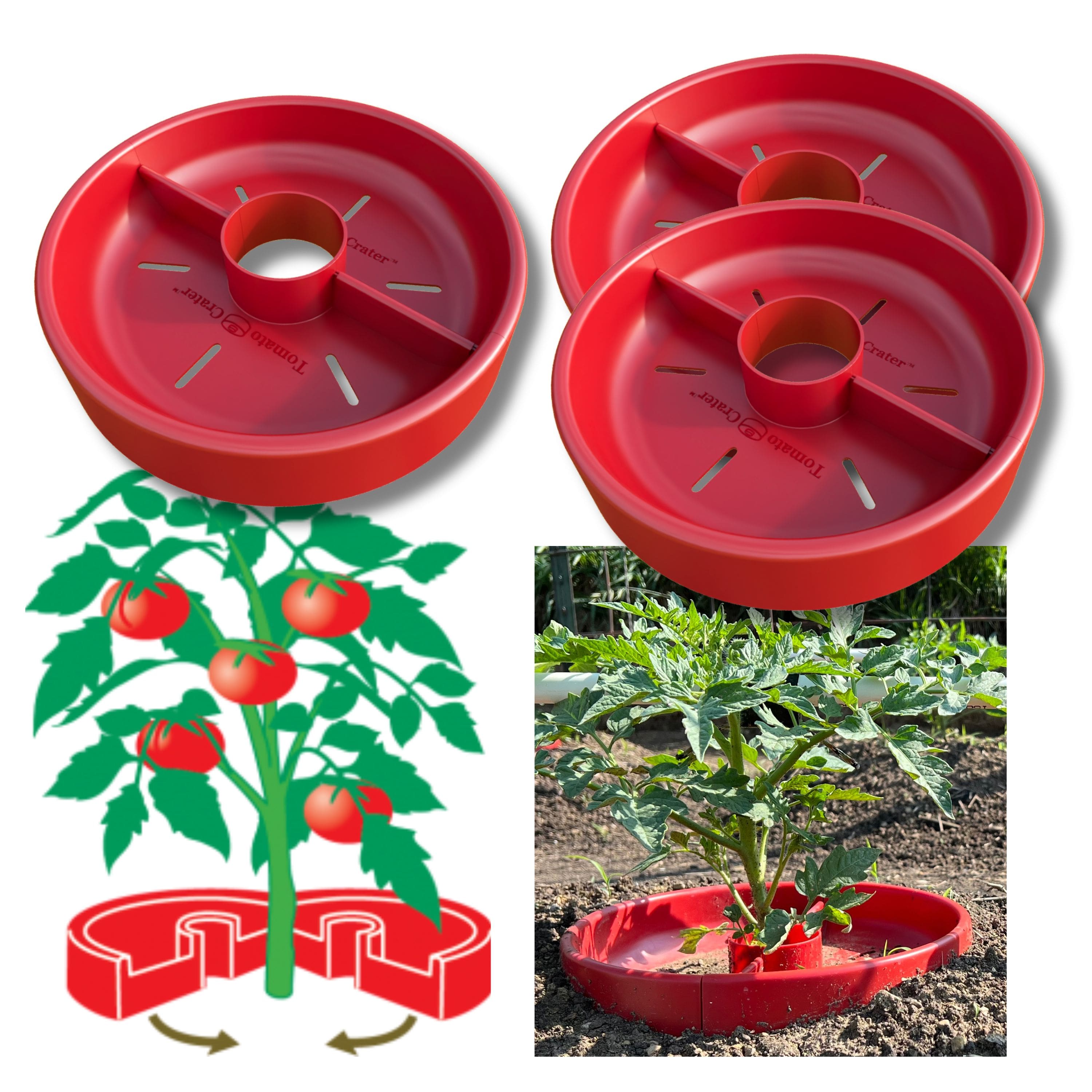 Tomato Crater 12 in Garden Watering Tool, 3-Pack - Image 1
